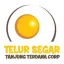 TELUR SEGAR LAMPUNG